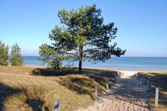 Strandvilla Aegir Mit Ostseeblick بينز المظهر الخارجي الصورة